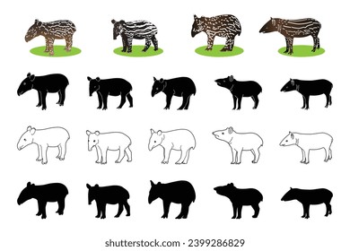  Baby Tapirs vector set, Tapir animal bundle. Image For Animals Design on white background.