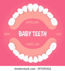 
Kinderzähne Anatomie Konzept Infografik Element.  Vektorgrafik.