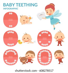 Baby Teething. Tooth Fairy. Period of eruption and shedding of baby's teeth. Flat design.