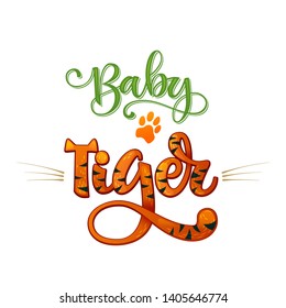 Baby Tiger phrase. Hand drawn calligraphy and script style baby shower lettering quote. Colorful isolated text with minimalistic decor. Print, invitation, card, poster