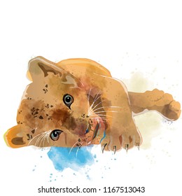  baby tiger playing
