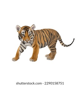 baby tiger with style hand drawn digital painting illustration