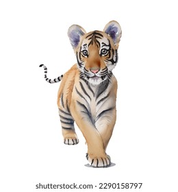 baby tiger with style hand drawn digital painting illustration
