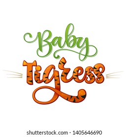 Baby Tigress phrase. Hand drawn calligraphy and script style baby shower lettering quote. Simple isolated text with minimalistic decor. Print, invitation, card, poster design element.