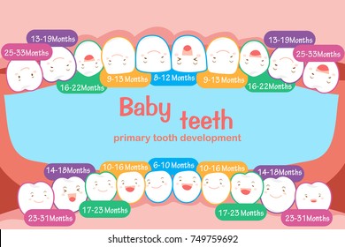 Toddler Tooth Eruption Chart