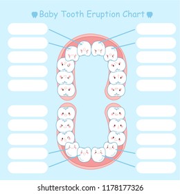 baby tooth eruption chart on the blue background