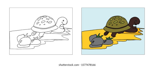 Baby Turtle coloring book design with monochrome and colored versions. Freehand sketch for adult anti stress coloring book page with doodle elements. Vector Illustrations for kids book.