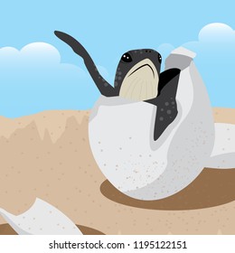 The baby turtle hatched from egg isolated Vector cartoon close-up illustration