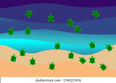 Baby turtles into the sea
