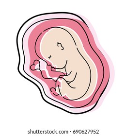baby with umbilical cord inside uterus