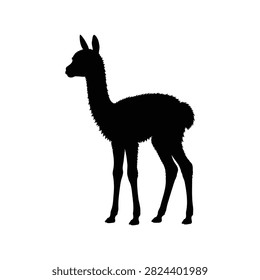 Baby vicuna silhouette vector flat illustration design.