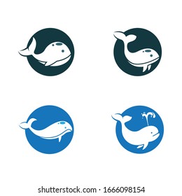 Baby whale icon logo creative vector illustration