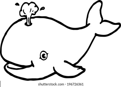 baby whale spraying water