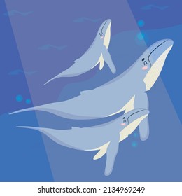 baby whales poster on sea