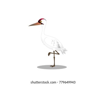 Baby Whooping Crane - Cartoon Vector Image