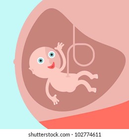 Baby in womb