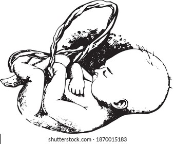 baby in the womb black and white sketchy illustration. sleeping baby holding an umbilical cord