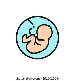 Baby in the womb, embryo, human fetus flat color line icon.