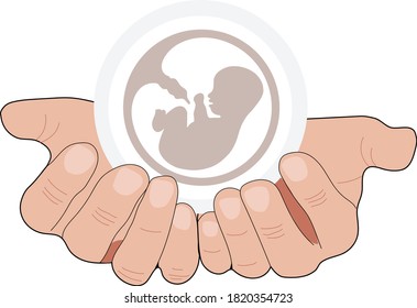 Baby in womb and hands. Pregnancy and health care of mother  and baby inside. Fetus symbol. Round logo of embryo and umbilical cord. Maternal fetus medicine. Embryo on a hands. 