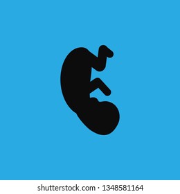 baby in the womb icon vector