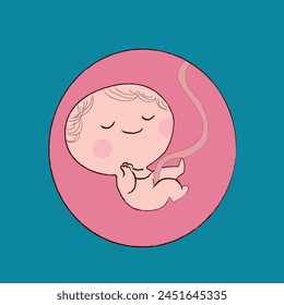 Baby in the womb. Pregnancy and health of mother the and baby inside. pregnant woman vector. happy baby. Embryo on belly. Medical emblem for pregnancy center.vector illustration