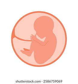 Baby in the womb. Pregnancy and health of mother and unborn baby. Fetus symbol. Embryo and umbilical cord. Medical symbol for pregnancy center. Vector illustration