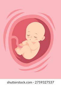 baby in the womb vector illustration