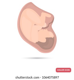 Baby in the womb of a woman color flat icon