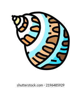 babylon sea shell beach color icon vector. babylon sea shell beach sign. isolated symbol illustration