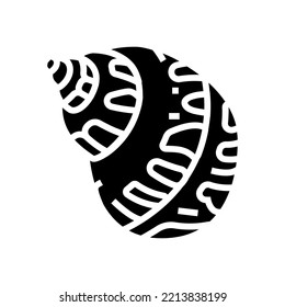 babylon sea shell de la playa glifo vector icono. letrero de playa de conchas marinas de babylon. ilustración de símbolo aislado
