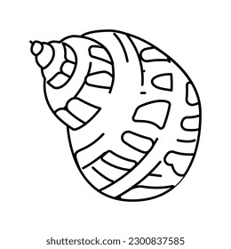 babylon sea shell beach line icon vector. babylon sea shell beach sign. isolated contour symbol black illustration