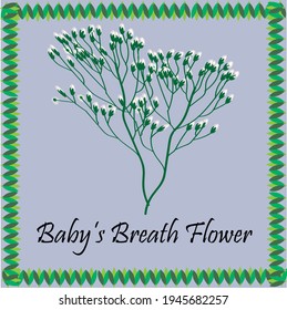 baby's breath flower with leaf border on light purple background