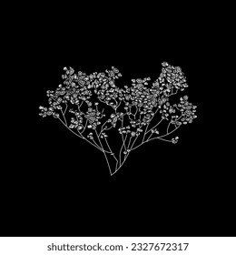 babys breath hand drawing vector isolated on black background.
