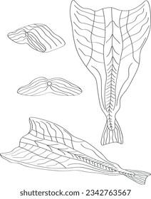 Bacalhau portugiesisches Gericht. Kabeljaufisch filet schwarze Linie Zeichnung. Gesalzener getrockneter Fisch, Vektorgrafik.