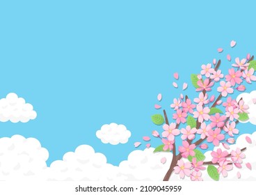 Bacterio con flores de cerezo en cielo azul