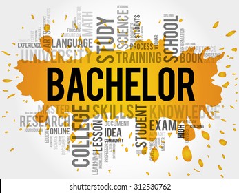 Bachelor word cloud, education concept