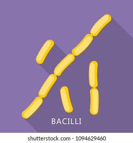 Bacilli icon. Flat illustration of bacilli vector icon for web design