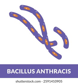 bacillus anthracis Virus design vector illustration