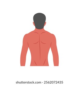 Back Body, Human Body Part Illustration