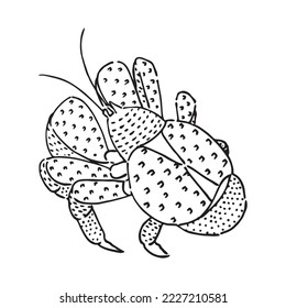 the back of the coconut crab hand drawn vector
