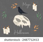 Back Crow on the Cat s Skull. Halloween Illustration, Magic fortune telling with candles and leafs, vintage style vector drawing. Grey background with texture