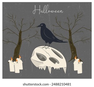 Back Crow on the Cat s Skull. Halloween Illustration, Dry threes, candles. Magic fortune telling, vintage style vector drawing. Grey background with texture. Gothic creepy illustration
