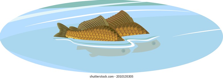 Back fins of crucian carp fishes sticking out of water during spawning