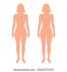 Silhouettes de espalda y frente del cuerpo humano femenino. Anatomía. Concepto médico y científico. Ilustración, vector