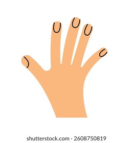 Back of the hand. Gesture. Color trendy vector illustration. Index, middle, ring, little fingers and thumb
