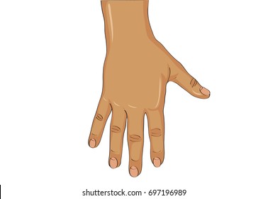 Back Of The Left Hand. Vector. The Palm Down