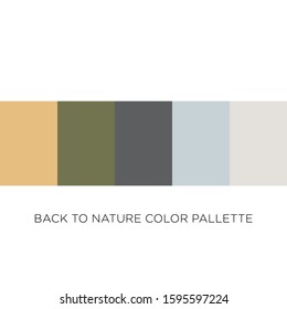 Back to Nature Color Scheme Palette for Create a Design