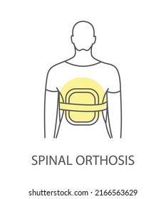 Back orthosis vector linear illustration, icon in black