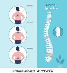 Back pain and body posture infographics with anatomical illustrations. Diagnosis and treatment. Medical scheme with pain vertebral body and damaged with injury spinal cord. Vertebra or spine trauma.