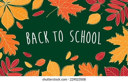 Back to School. Autumn leaves are drawn with chalk on a green chalkboard. Sketch, design elements. Vector illustration. 